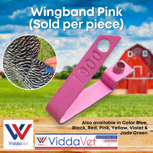 Wing Band Pink 1PC