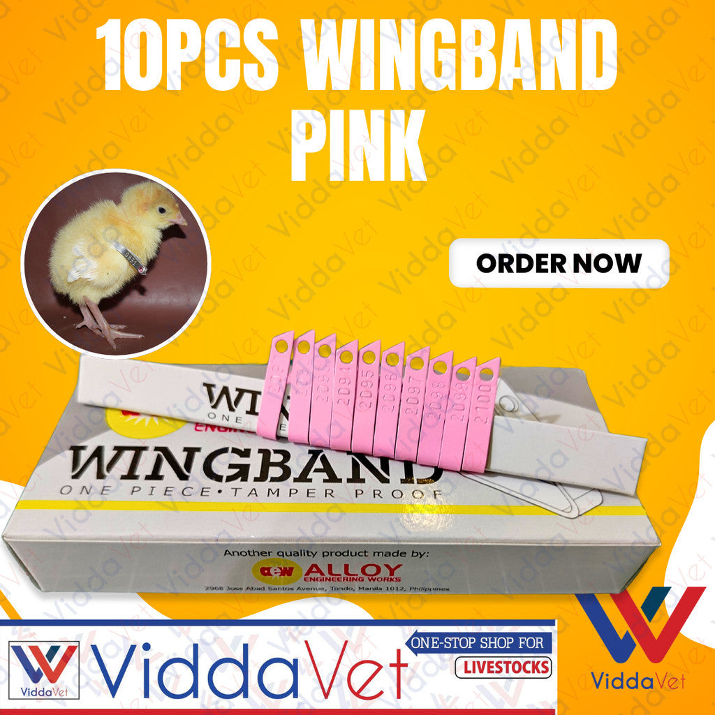 10pcs Wingband Pink