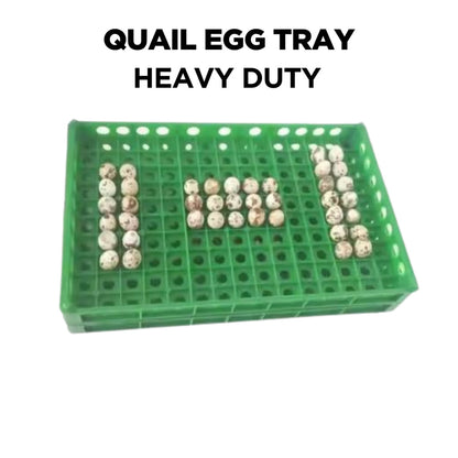 Quail Egg Try Heavy Duty