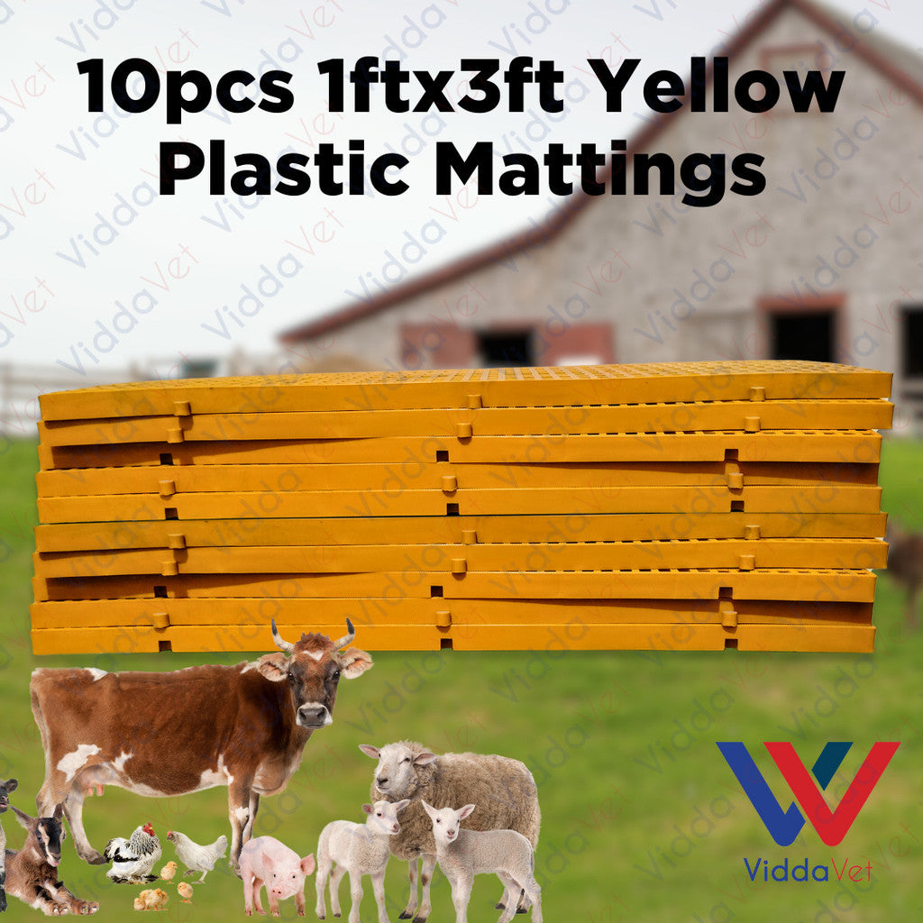 Plastic Mattings Yellow Golden Matt 1x3 10pcs