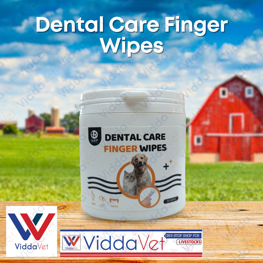 Dental Care Finger Wipes