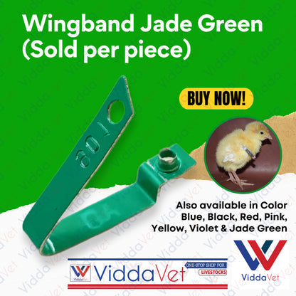 WingBand Green 1PC