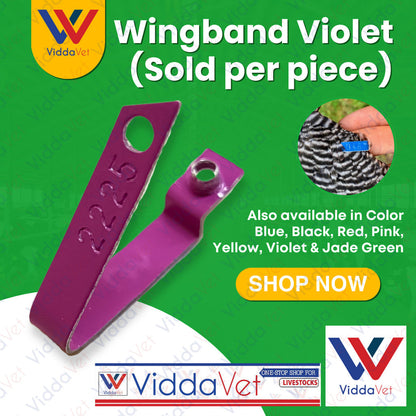 Wingband Violet Color