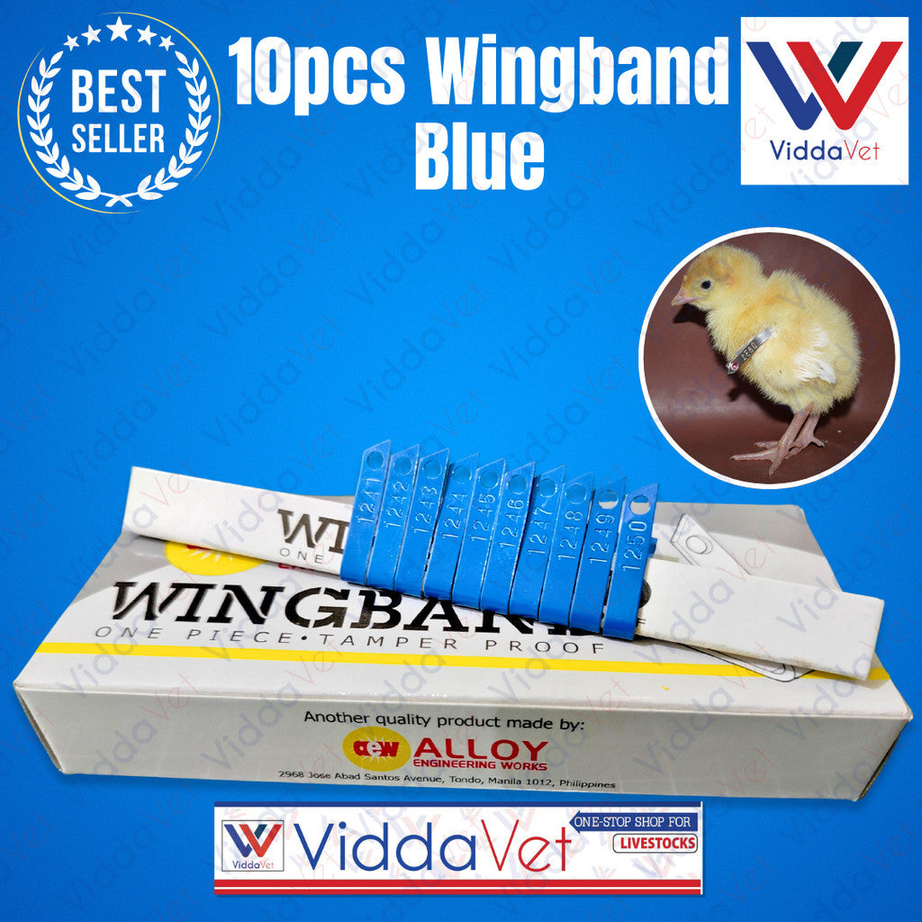 Wing Bands Blue 10pcs
