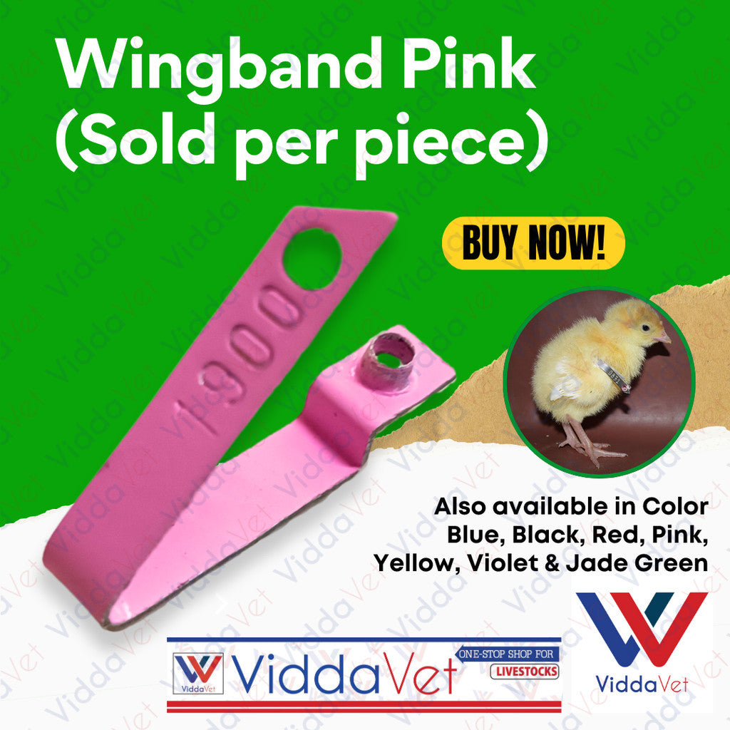 Wing Band Pink 1PC