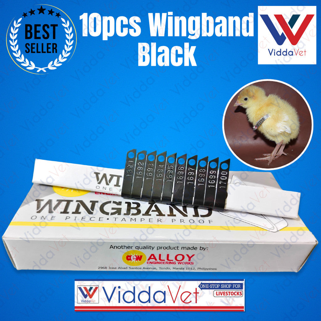 Wing Bands Black 10pcs