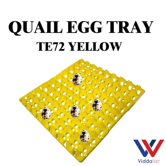 Yellow Quail Pugo Egg Tray 24 Slot