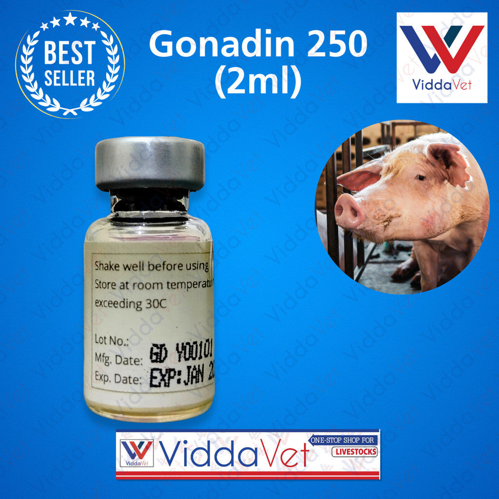 Gonadin 250 (2ml) for Pigs Comprehensive Reproductive Health Solution