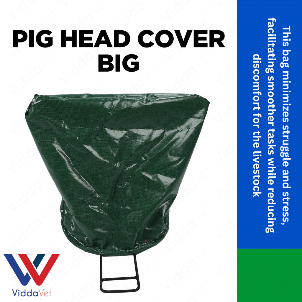 Pig Head Cover Big