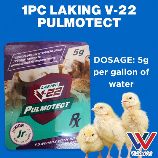 1pc LAKING V-22 Pulmotect 5g