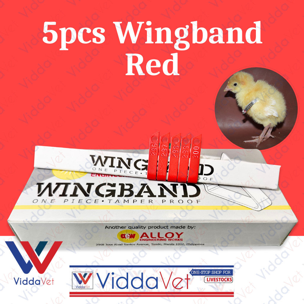 Wing Bands Red 5pcs