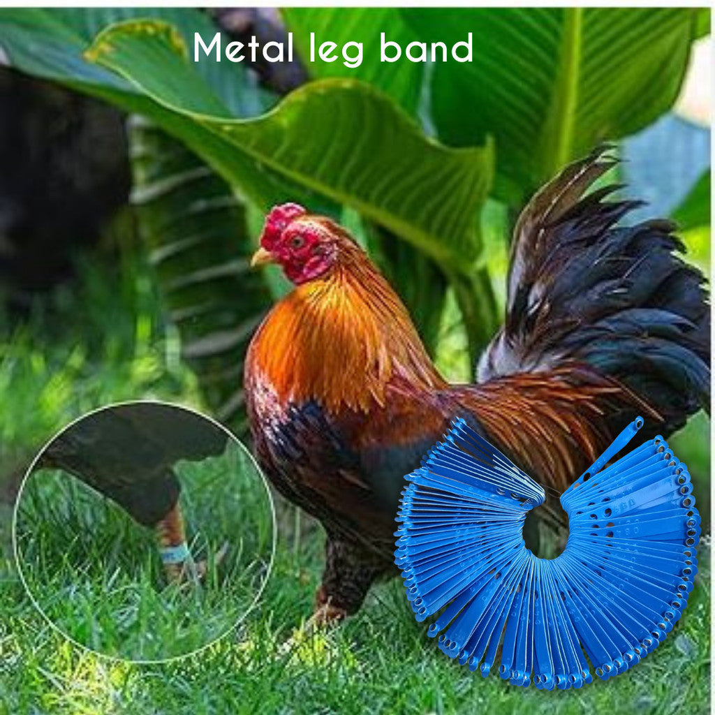 Metal Leg Band (5pcs / 10pcs)