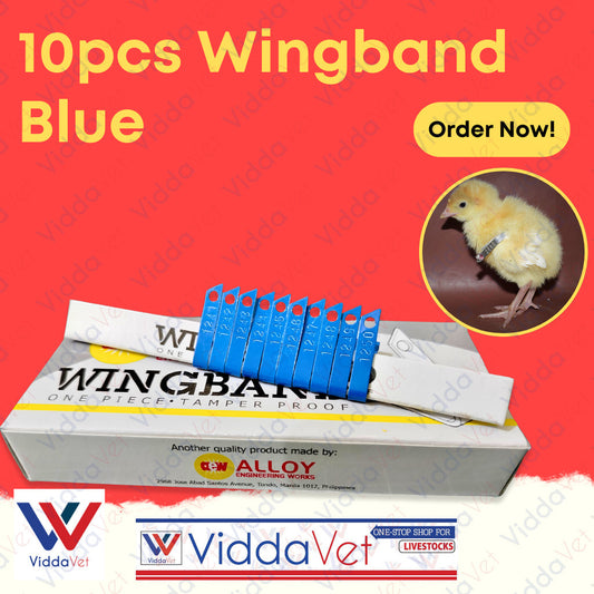 Wing Bands Blue 10pcs