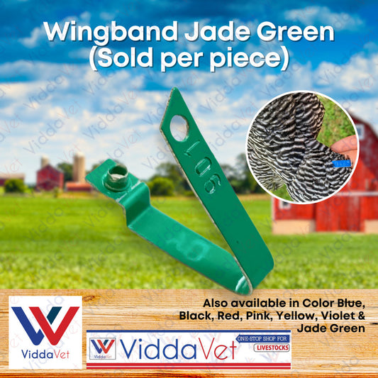 WingBand Green 1PC