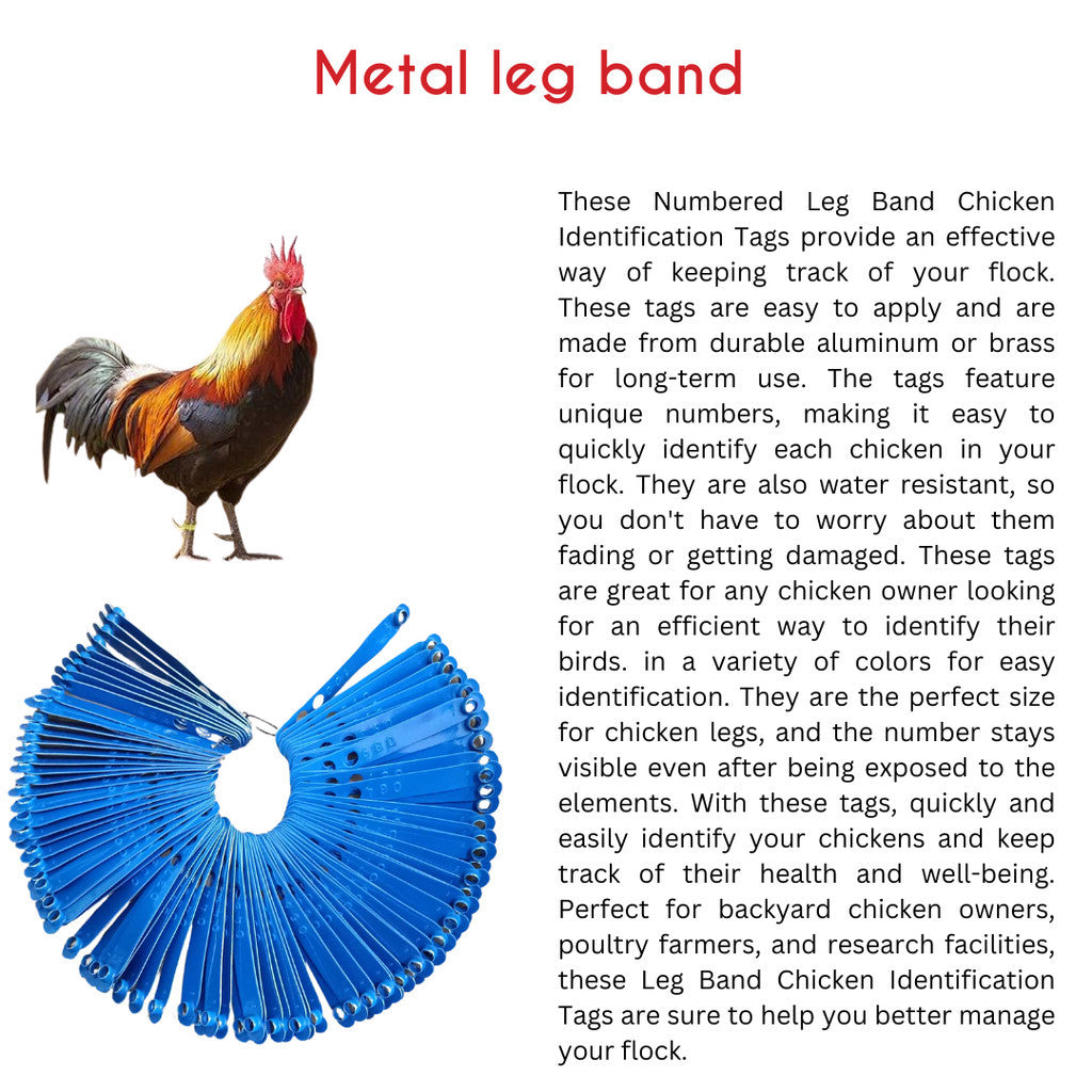 Metal Leg Band (5pcs / 10pcs)