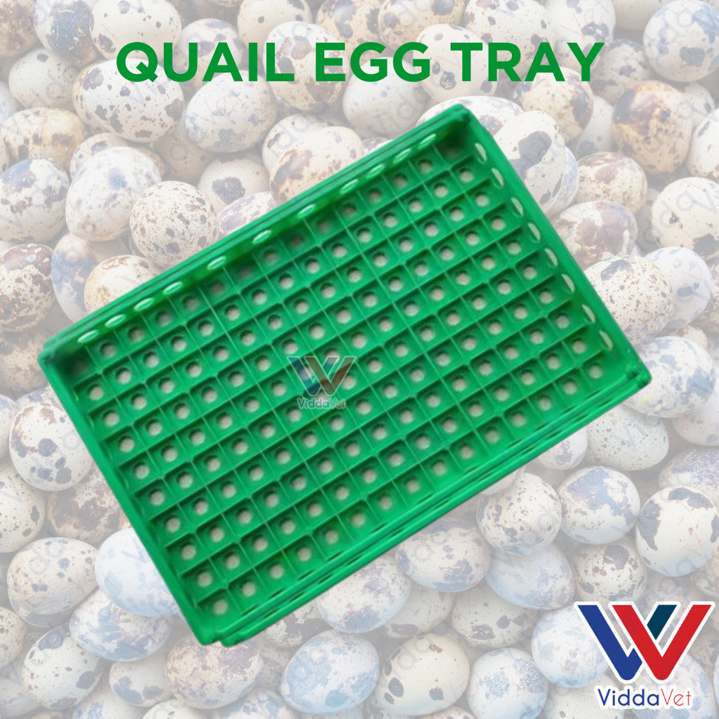 Quail Egg Try Heavy Duty