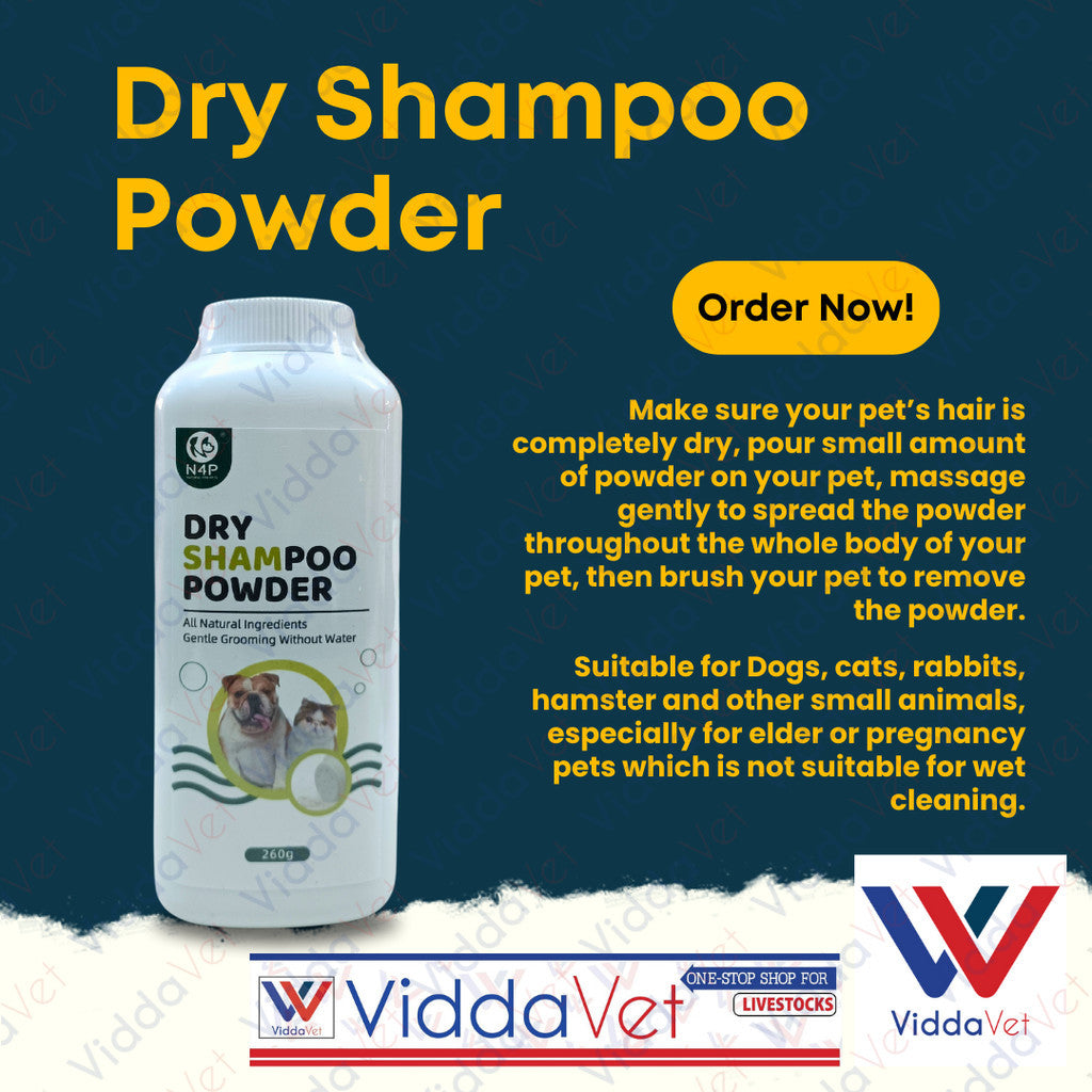 N4P Dry Shampoo Powder