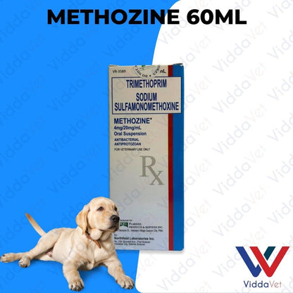 Methozine 60ml