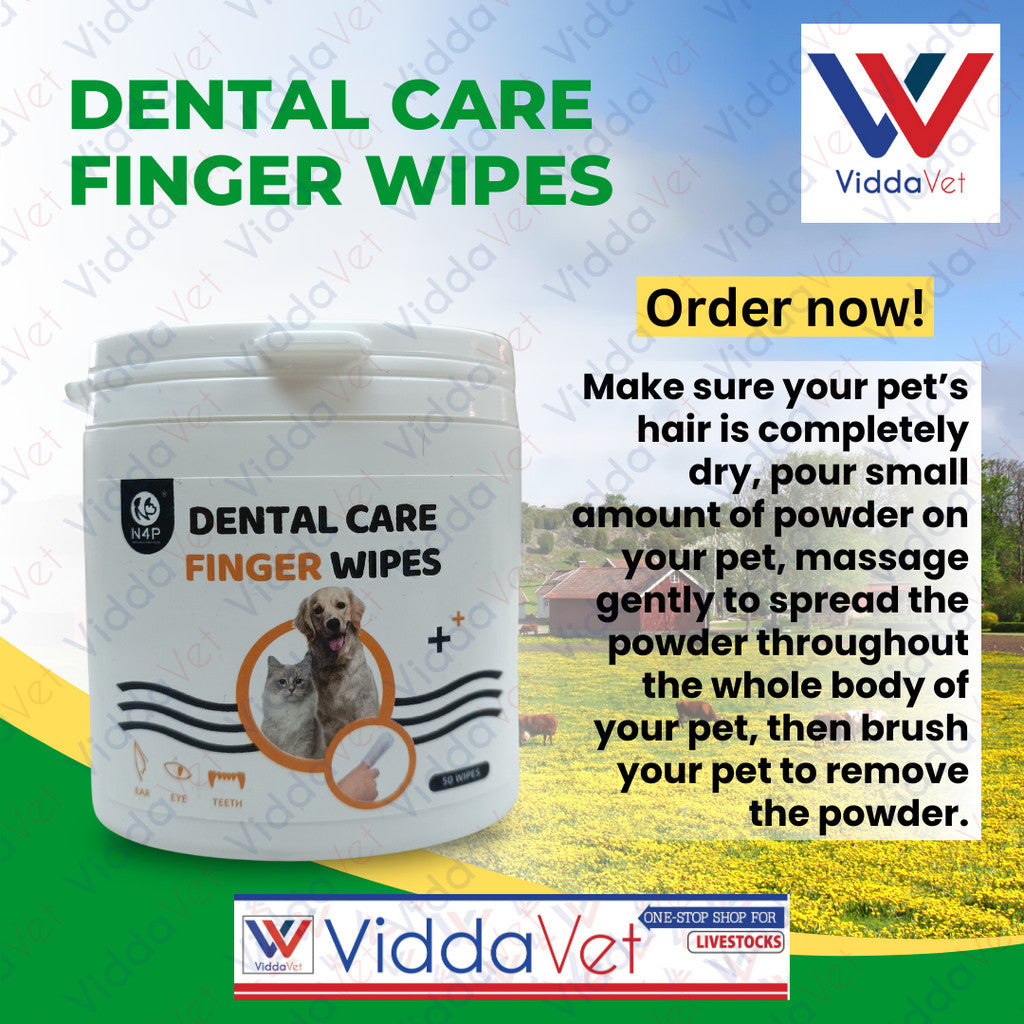 Dental Care Finger Wipes
