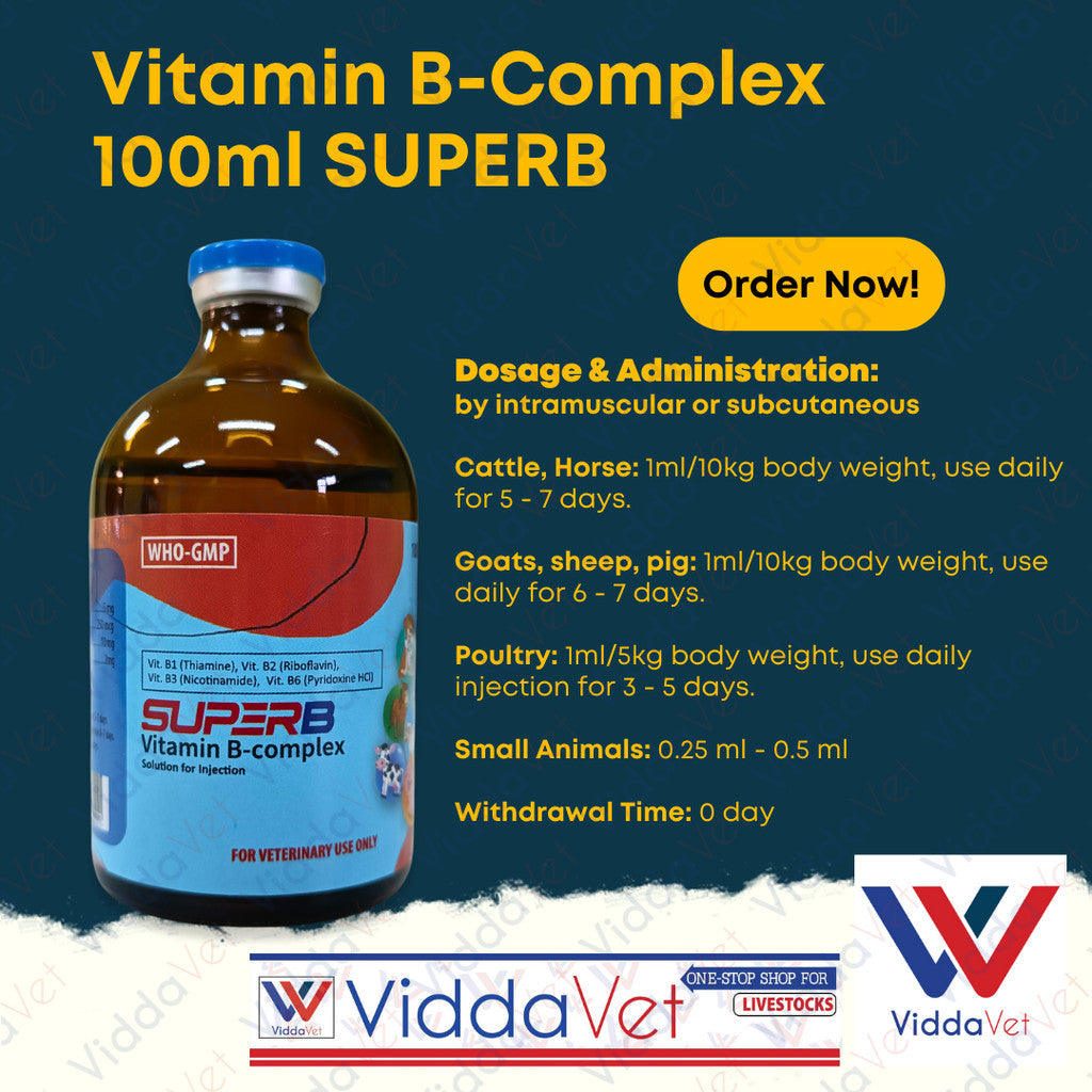 SUPERB Vitamin B-Complex 100ml