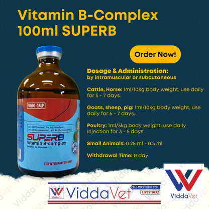 SUPERB Vitamin B-Complex 100ml