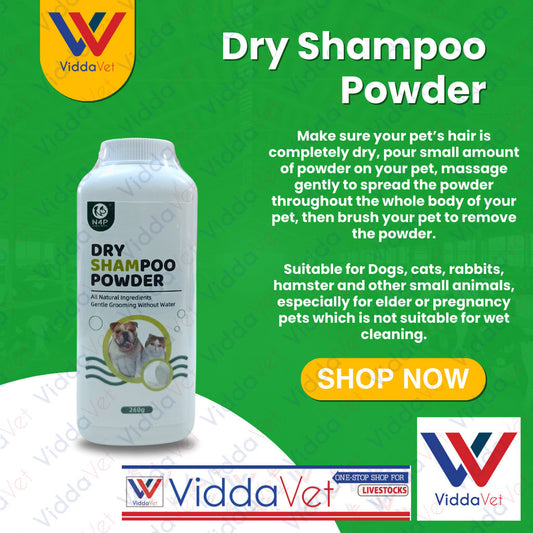 N4P Dry Shampoo Powder