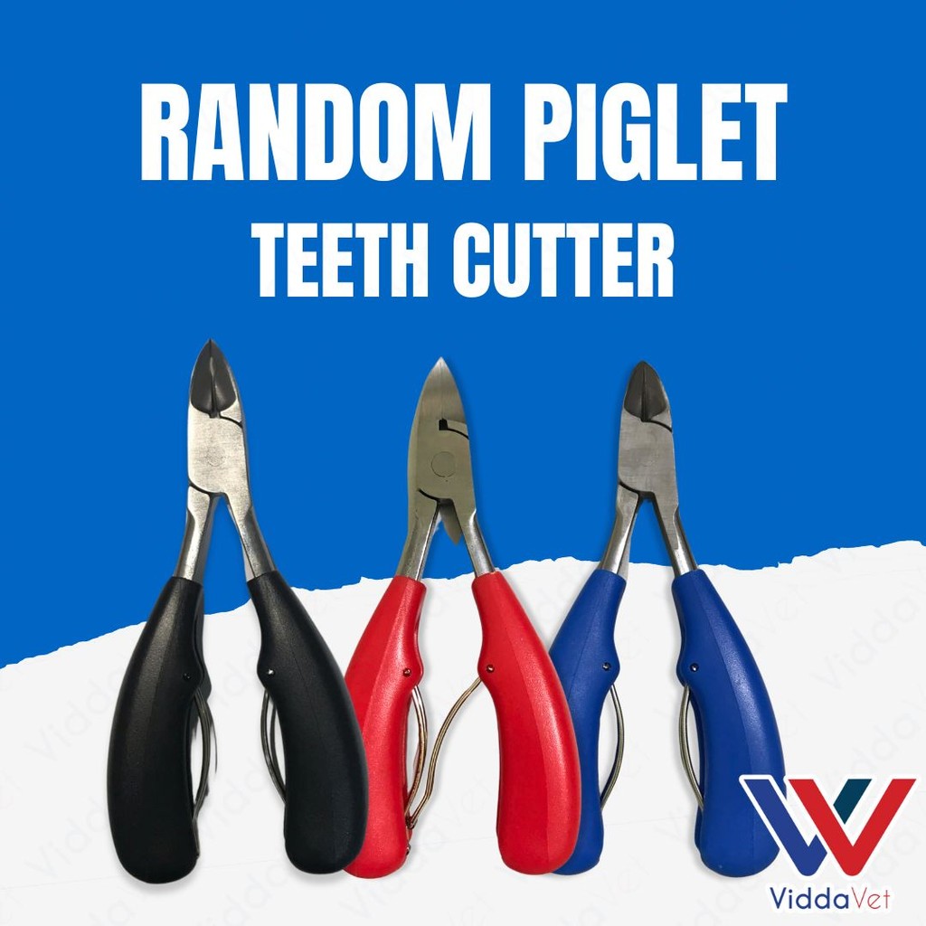 Piglet Teeth Cutter (Random)