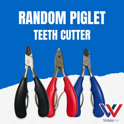 Piglet Teeth Cutter (Random)