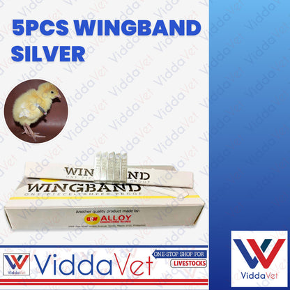 Wing Bands Silver 5pcs
