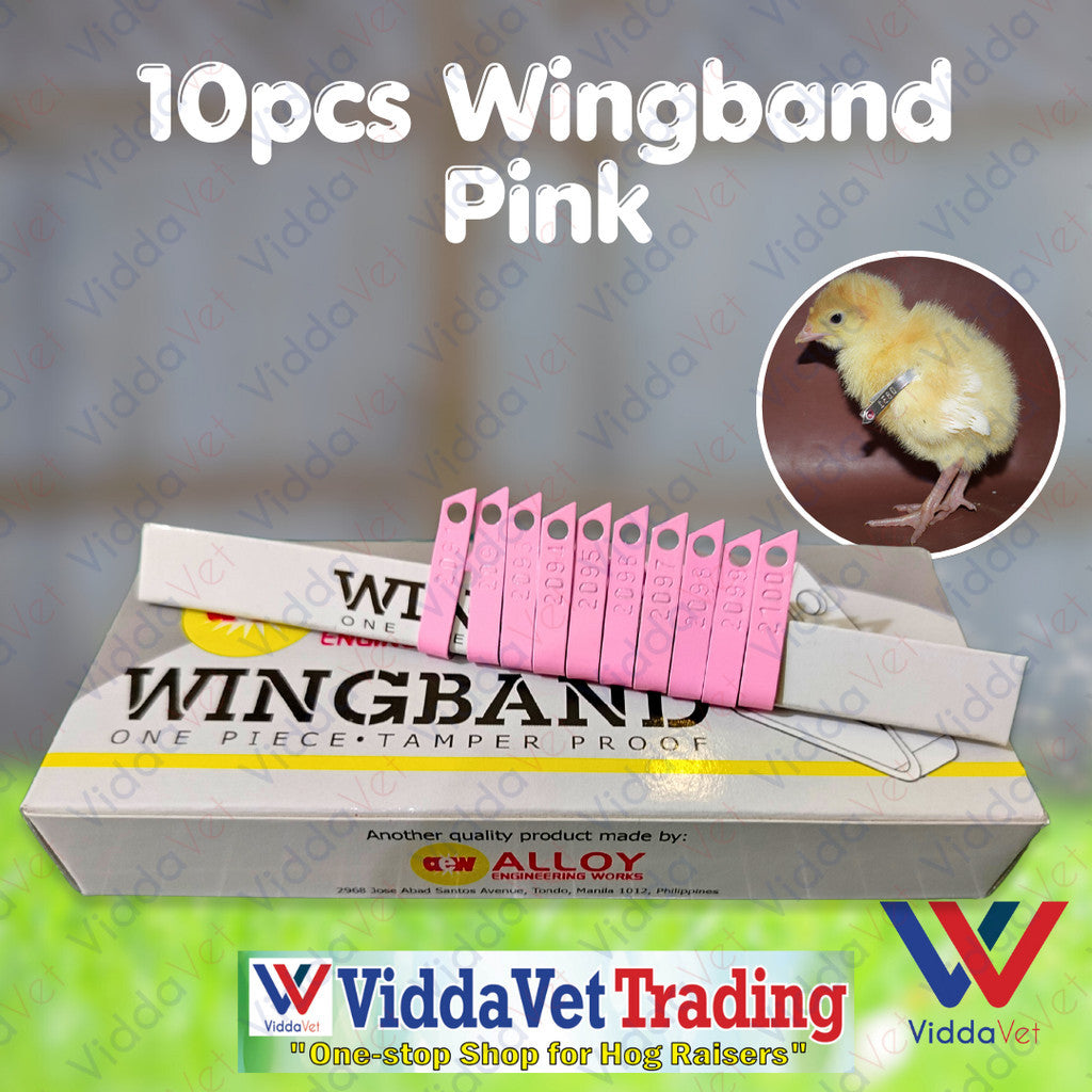 10pcs Wingband Pink