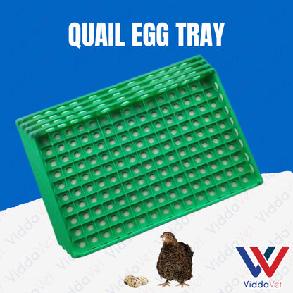 Quail Egg Try Heavy Duty