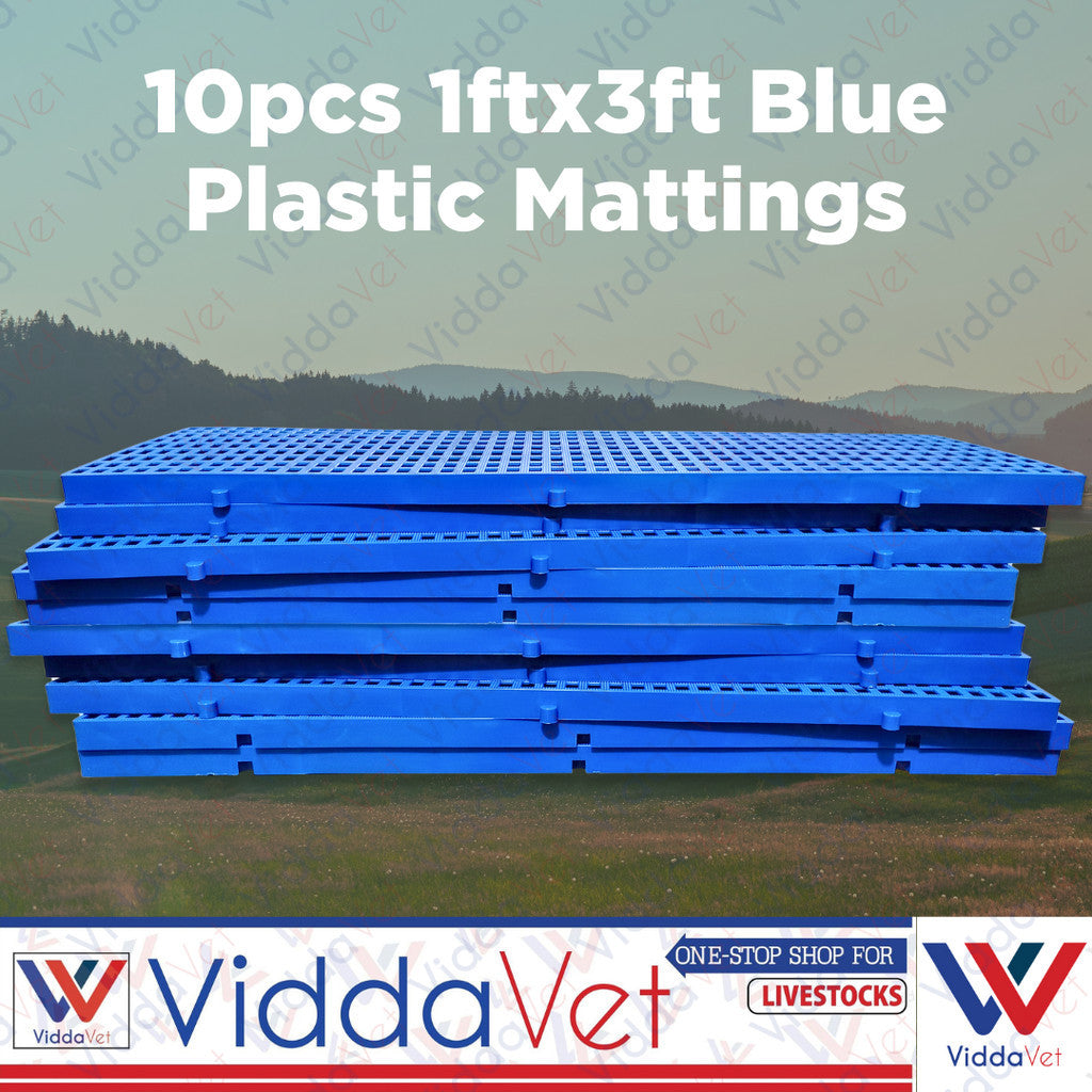 Plastic Mattings Blue 1x3 10pcs