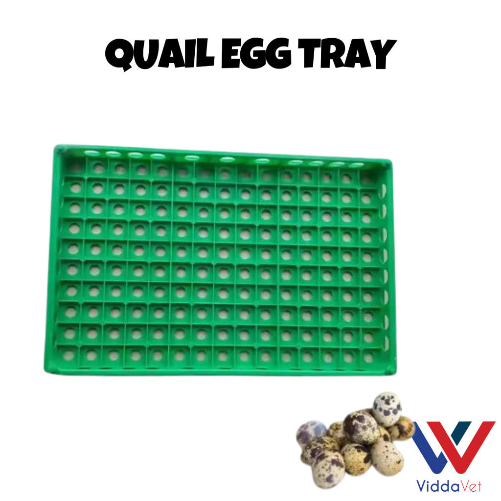 Quail Egg Try Heavy Duty