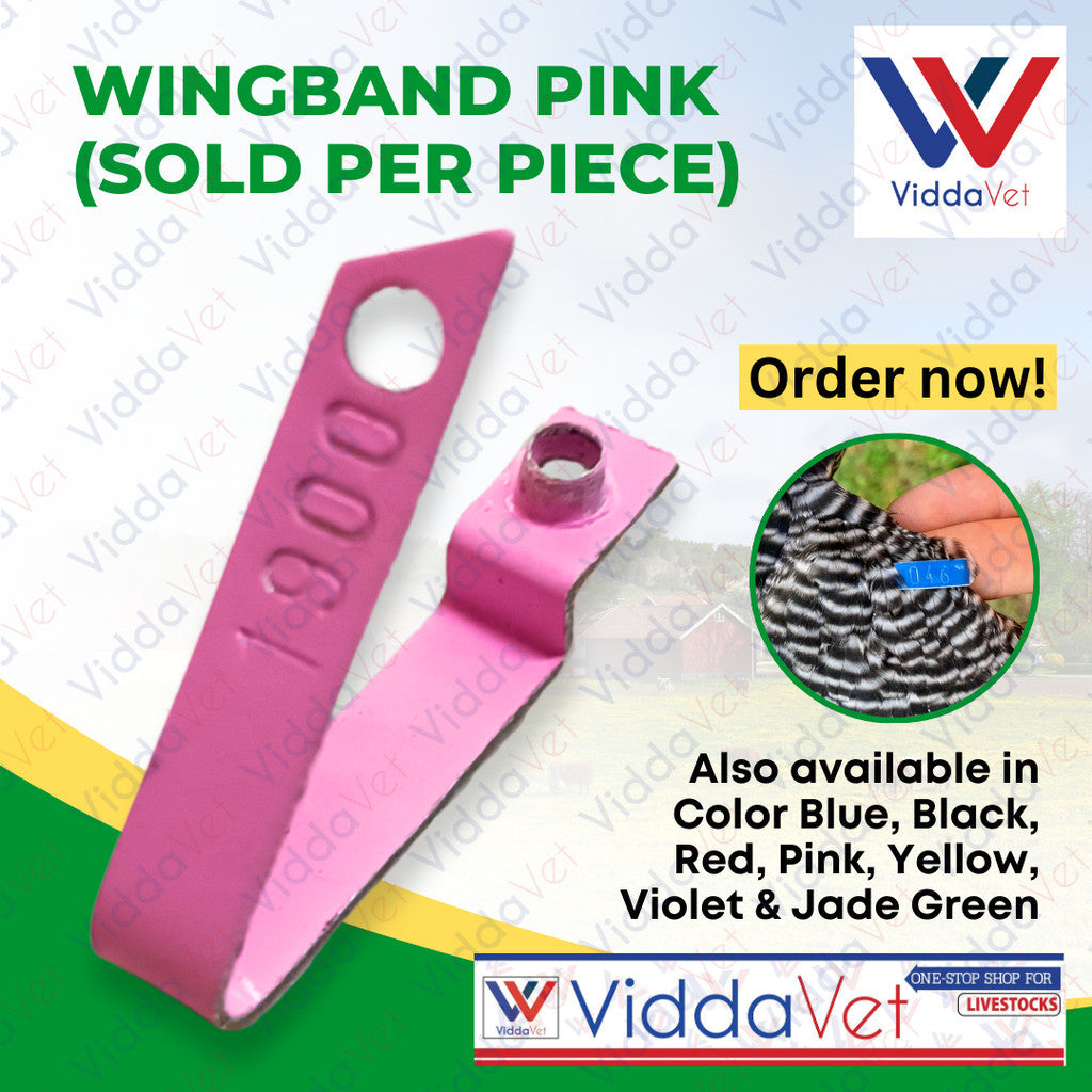 Wing Band Pink 1PC