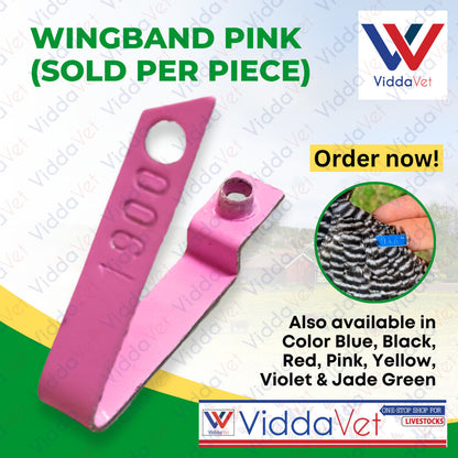 Wing Band Pink 1PC
