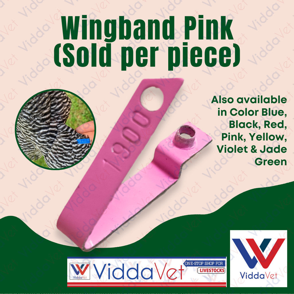 Wing Band Pink 1PC