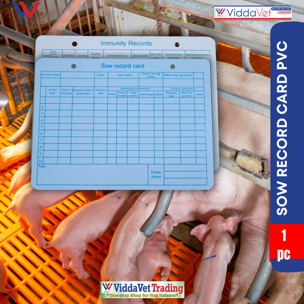 Sow Record Card PVC