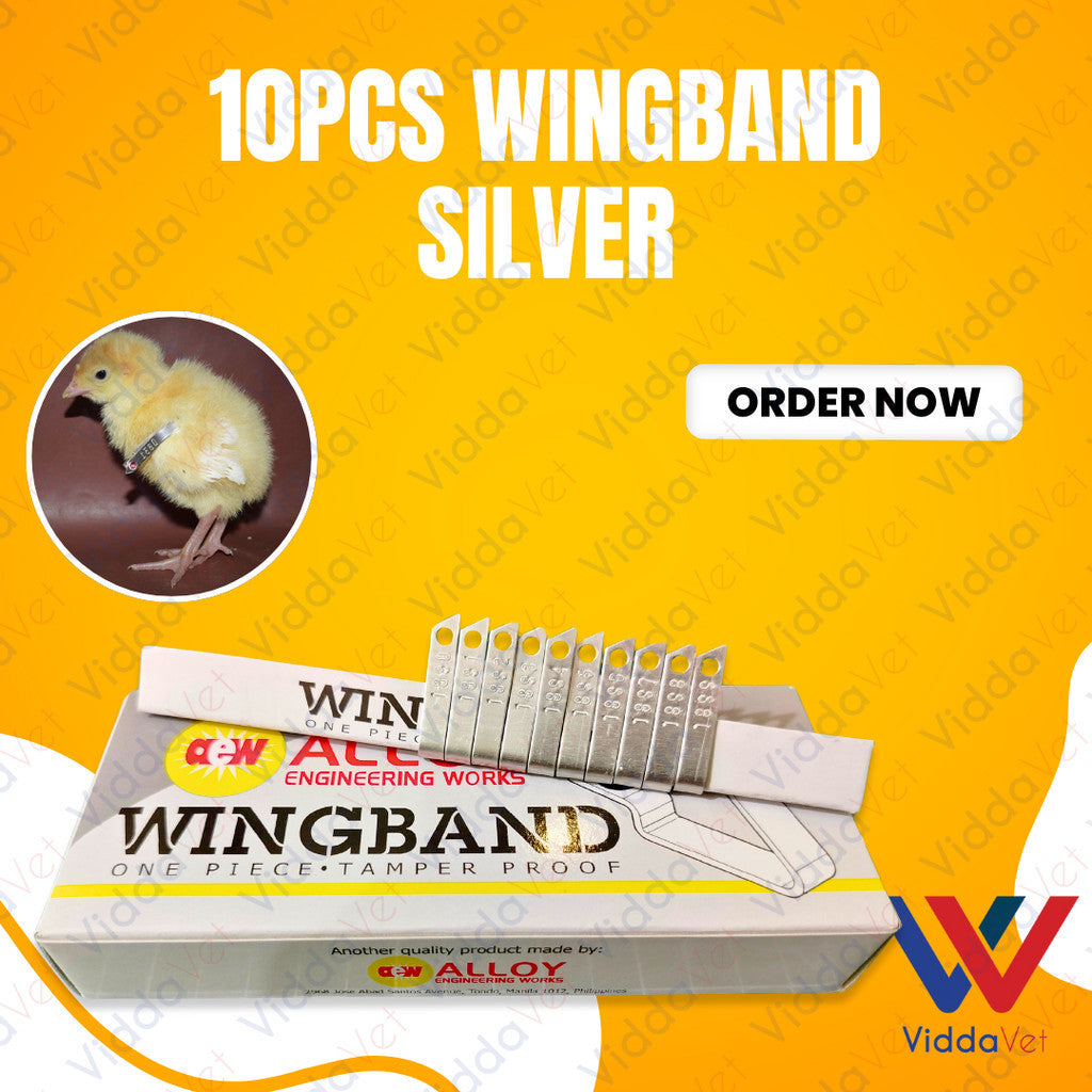 Wing Bands Silver 10pcs