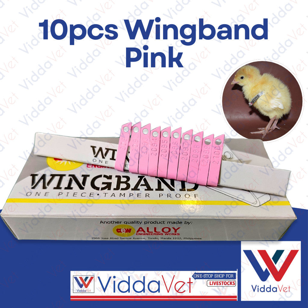 10pcs Wingband Pink