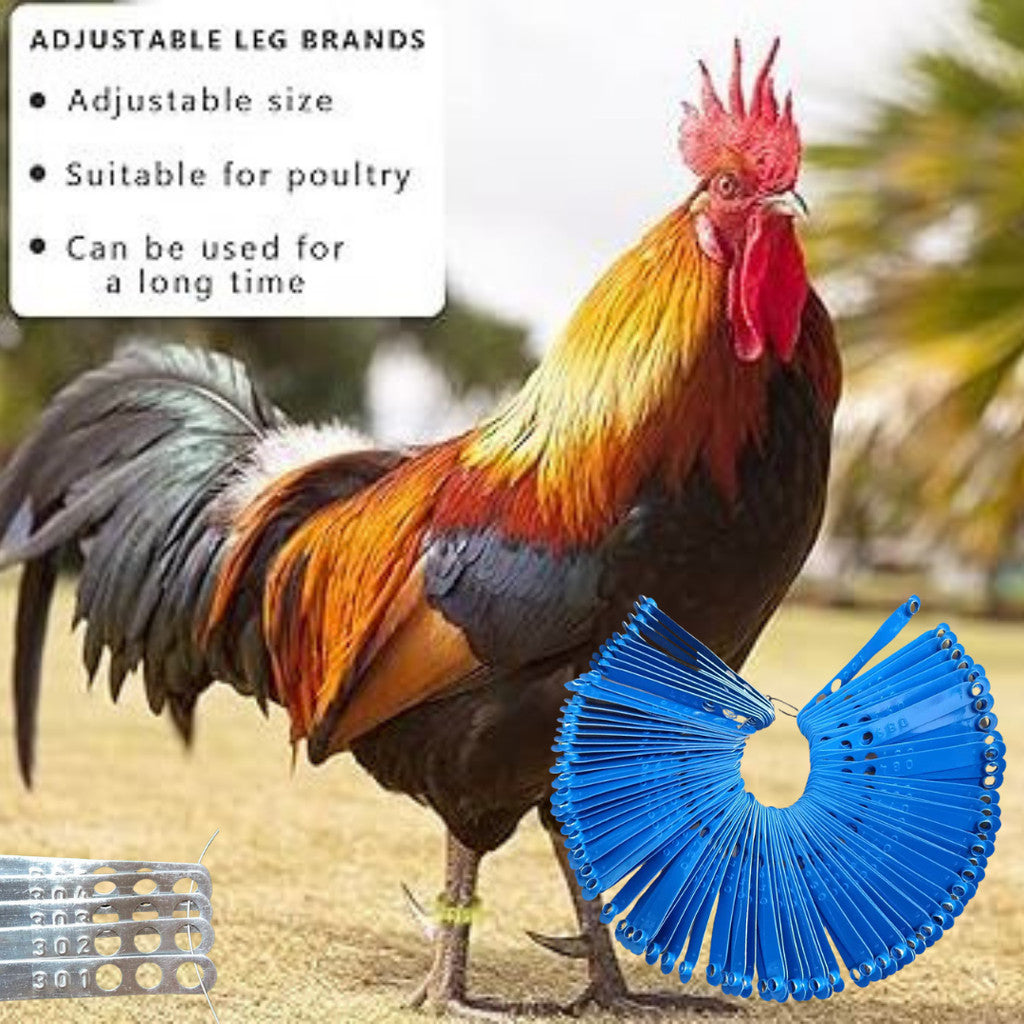 Metal Leg Band (5pcs / 10pcs)