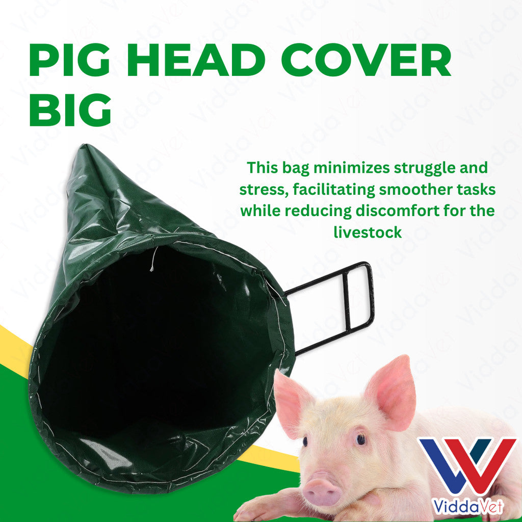 Pig Head Cover Big