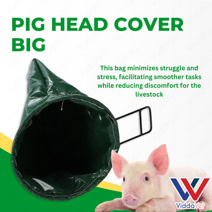 Pig Head Cover Big