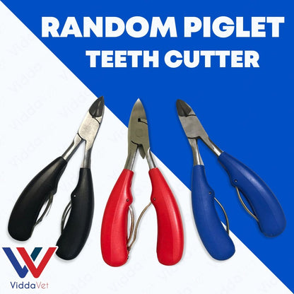 Piglet Teeth Cutter (Random)