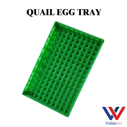 Quail Egg Try Heavy Duty