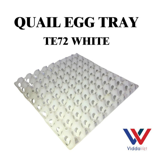 White Quail Egg Tray with 24 Slots for Efficient Animal Egg Storage Quail Egg Tray for Animals