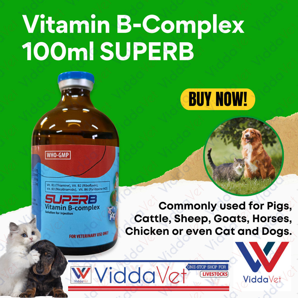 SUPERB Vitamin B-Complex 100ml