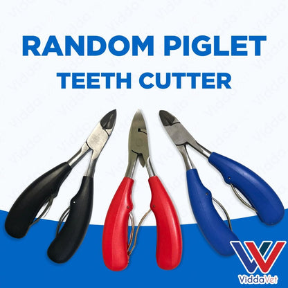 Piglet Teeth Cutter (Random)
