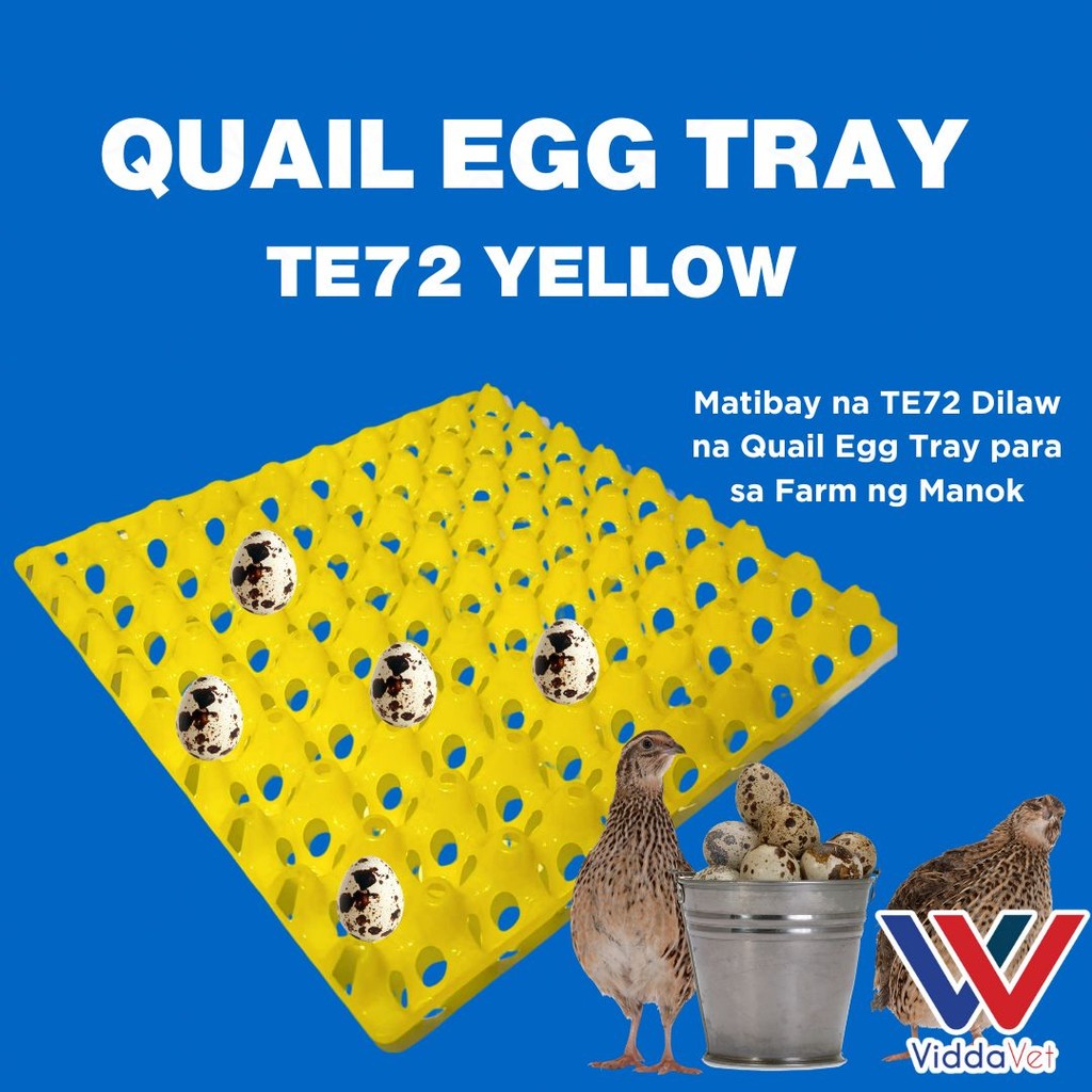 Yellow Quail Pugo Egg Tray 24 Slot