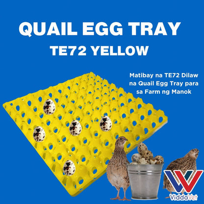Yellow Quail Pugo Egg Tray 24 Slot