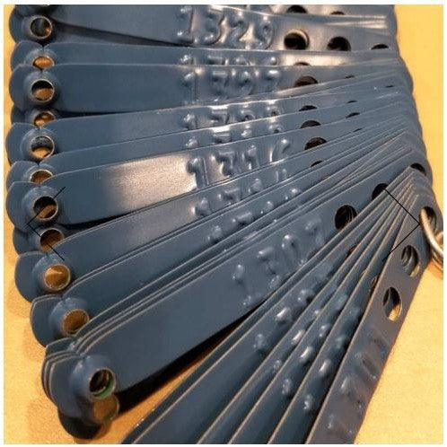 Metal Leg Band (5pcs / 10pcs)